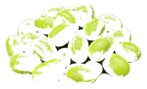 Boabe edamame