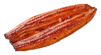 Anghilă