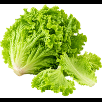 Salată verde